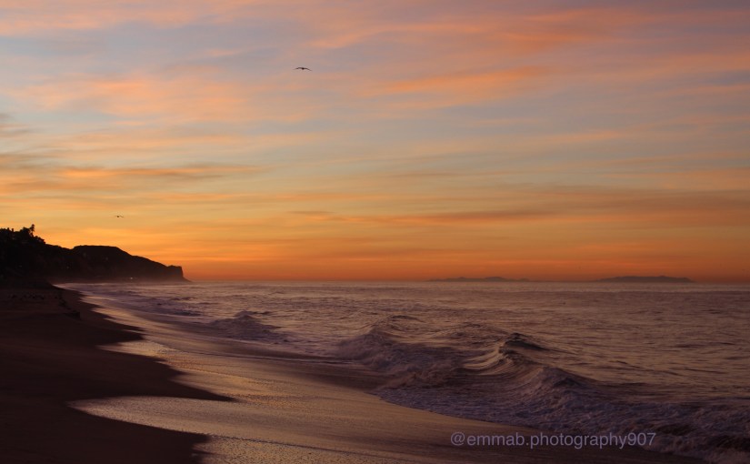 Hold Back the&nbsp;Tide