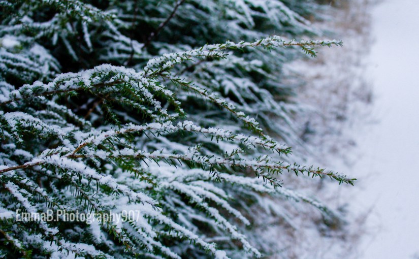 Mission Accomplished