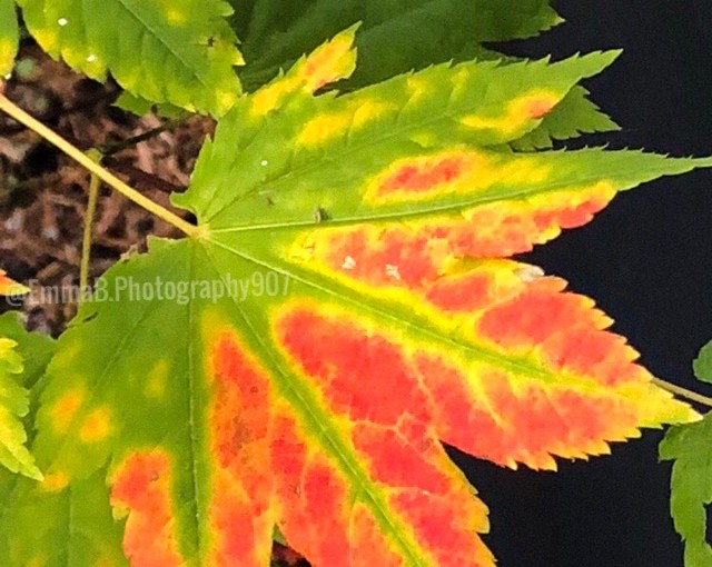 It’s Not About The&nbsp;Dressers