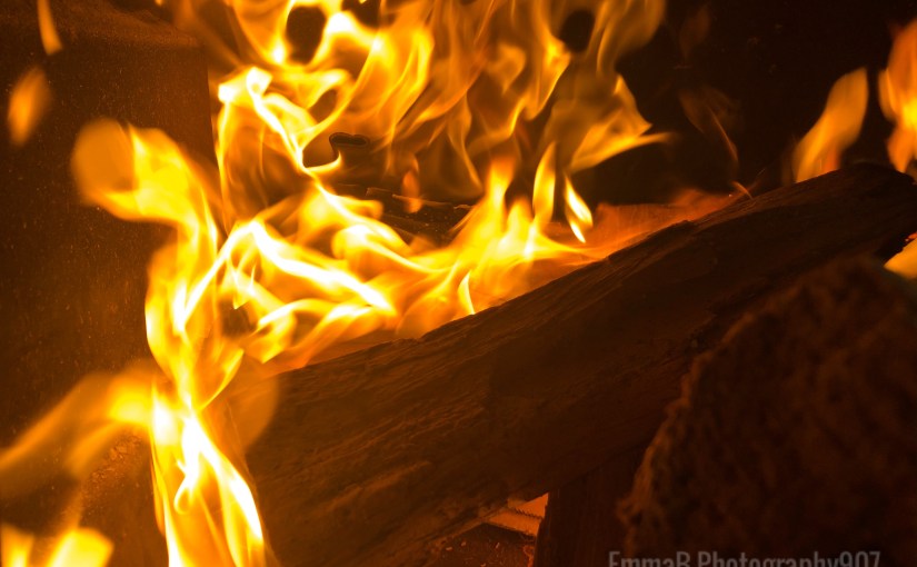 A Load Of&nbsp;Firewood