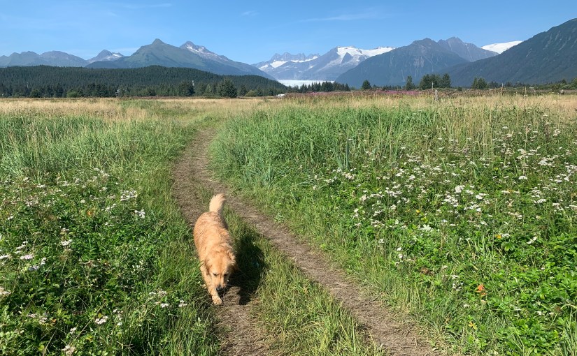 Pushing The World&nbsp;Away