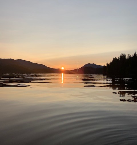 On The Front Of The&nbsp;Fridge